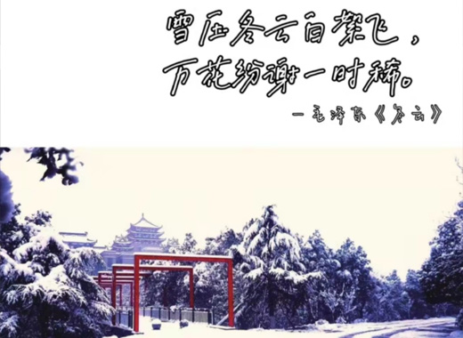 Our school held the Minyuan · First Snow International Student Online Poetry Show Activity.